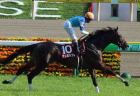 アドミラブル大外枠で「絶望」も史上最強クラスなら優勝可能？ すべての逆境を吹き飛ばし「最速の青葉賞馬」から「最強のダービー馬」へ