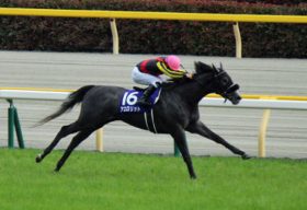 JRA戸崎圭太「また逃げ」でアエロリット安田記念制覇も十分!? ヴィクトリアマイルで示した「強さ」