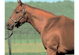 「最強世代」の『最強馬』無敗の皐月賞馬アグネスタキオンが駆け抜けた「神話」