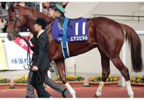 【徹底考察】弥生賞（G2）エアスピネル「このままでは終わらせない。不屈のエリート馬の雪辱戦が幕を開ける」