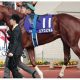 【徹底考察】阪神大賞典(G2) トーホウジャッカル「『3分間の奇跡』を再び見せる時がやってきた」