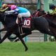 JRA史上初の珍事!? 木幡親子が4人で同一レースに出走!! 息子たちが優勢の中、父・初広騎手は先輩としての面目を保てるのか?