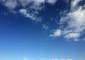 故・後藤浩輝騎手と名コンビ、アドマイヤコジーン死す。「早熟」と「晩成」両方を示した不屈の馬