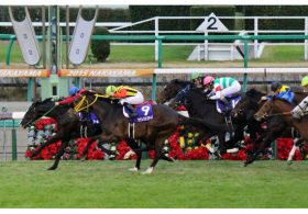 今年も「キタサン＆ユタカ」祭り!? 「背水の最強世代」を背負ってダイヤモンド出撃！ シュヴァル福永「間に合う」！ 今年の有馬記念（G1）が早くも話題沸騰中！