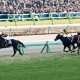 安藤勝己氏がキタサンブラックの後続「金縛り」の黒い指摘……有馬記念「鮮やか過ぎる勝利」の”要因”はそこかしこに