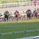 武豊「スキャンダル」「ケガ」など揺れに揺れた2017年。弟・幸四郎騎手「引退」から小浦愛「不倫疑惑」、そしてキタサンブラック「大団円」までをプレイバック!