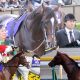 キタサンブラックより堅い大本命!? 21世紀「最強」の障害馬オジュウチョウサン中山大障害連覇へ向け死角なし!