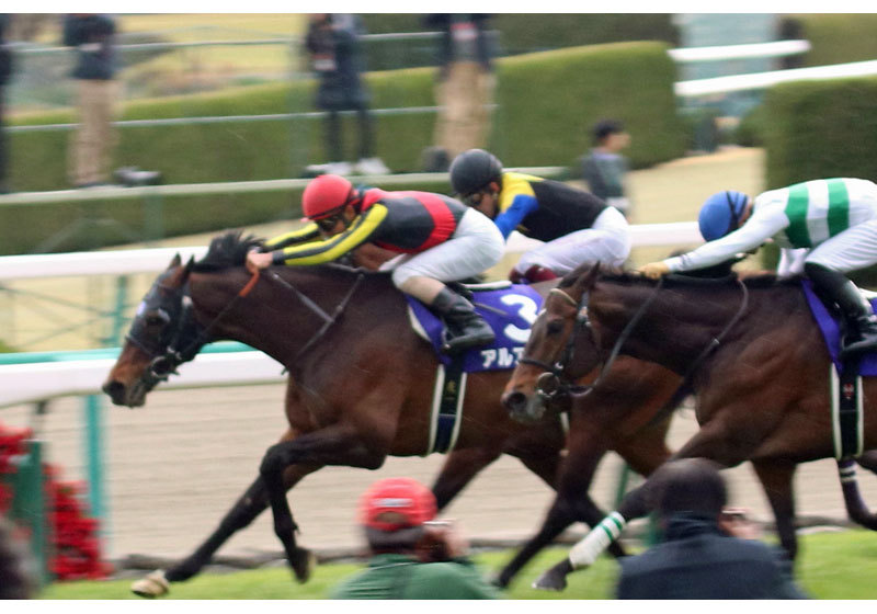 JRA有馬記念（G1）最終追い切り「モヤを切り裂く」アーモンドアイ圧巻！ 予定通り「状態上昇」はアイツの画像3