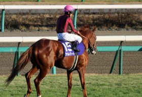 天皇賞・春（G1）アルバート「馬主悲願」陣営情報入手…… 「スピード一致」不思議ネタで考えれば今年は上位必至……か？