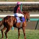 天皇賞・春(G1)レインボーラインには疑問!? 天才・楠原安里梨が見据える長距離戦の「結末」