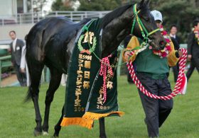 武豊は「消し」！ミスエルテを脅かす注目の穴馬も公開！重賞穴馬データ～朝日杯フューチュリティステークス・ターコイズステークス～