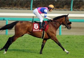 田辺裕信騎手の「不気味」コメントが気になる!?　皐月賞（G1）で”絶好調男”が伏兵アウトライアーズに懸ける「気持ち」