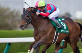 【徹底考察】JBCクラシック（G1） アウォーディー「ダート界に突如として現れた最強のチャレンジャー『現王者』コパノリッキーとの力関係は？」