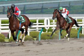 【シリウスS（G3）展望】ダート連勝中の上がり馬多数。 フレッシュなメンバーが集結した激戦を制するのは？