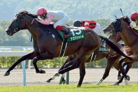 【重賞展望・小倉記念】老兵ダコールが4年ぶり1番人気濃厚も、オルフェ手掛けた池江調教師が「絶好調」宣言したダービー2着馬サトノラーゼン復活に注目！