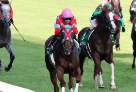 【重賞展望】今年の北九州記念（G3）は夏の快速娘ベルカントが「ノースヒルズ共同戦線」結成で盤石のサマースプリント王へ！