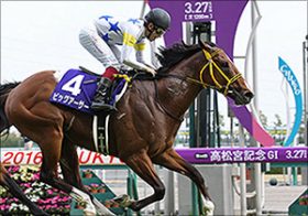 【G1展望・スプリンターズS】秋のG1戦線がついに幕開け！開幕戦を制すのはスプリント王ビッグアーサーか、それとも『史上最強世代』の刺客か！