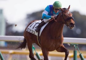 【重賞展望】秋競馬の開幕は今年から重賞に昇格した紫苑S（G3） 主役はオークス3着ビッシュも、夏に実力を付けてきた「上がり馬」に注目！