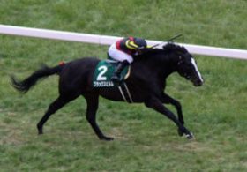 カンニング竹山の愛馬「ブラックスピネル」がマイラーズC（G2）へ参戦！重賞連勝のカギは「エアスピネル」×「武豊」コンビとの位置関係にアリ！？