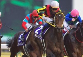 ブエナビスタの2番仔「ソシアルクラブ」の未来や如何に!? 姉の成績から心配も、関係者評価は上々!?