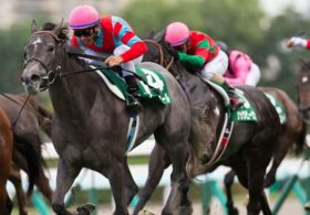 【徹底考察】スプリンターズS（G1） ブランボヌール「【血統】に隠されたスプリント3戦3勝の実力の真偽。中山の激流で『天才・武豊』のエスコートは如何に」