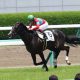 JRA2018総括「古馬混合編」3歳馬旋風吹き荒れる！ アーモンドアイ4冠にブラストワンピース躍動