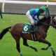 今年のスプリングS(G2)が実は名馬誕生の年!? 勝ち馬が「皐月賞で馬券圏内」&「G1馬確定」となる”明”と”暗”の法則とは