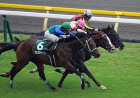 3歳牡馬唯一の重賞2勝馬ブレスジャーニーが弥生賞回避…。主役不在の牡馬クラシック路線はさらなる「動乱の時代」へ突入か!?