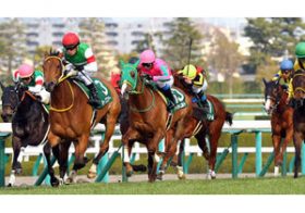 【チューリップ賞（G3）】好メンバー集合もファンはすでに”脳死プレイ”!?　「何も考えず、単勝デムーロ」