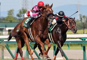 【中京記念展望】若武者トウショウドラフタ「史上最強世代」が猛威を奮う！古馬陣は気合満点の小牧太騎手と「代打職人」騎手に注目！