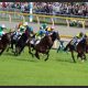 武豊騎手が「メッチャいい!」ついに『JRA全G1完全勝利』の大記録達成なるか!?日本競馬のレジェンドがデビュー間近のエアスピネル全弟を大絶賛!