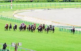 【新潟大賞典（G3）展望】ステファノス参戦で激震!? 強い4歳世代が実績ある古豪との直接対決に挑む！