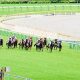 JRAの大荒れレース新潟大賞典(G3)は決意の1点勝負!関係者のイチオシ情報とは