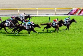 デムーロ騎手「3週連続G1競走3着」の珍記録達成！「全部同じレース」でも実力はやはりダントツ？