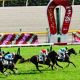 2017年競馬上半期総括。オークス&日本ダービー優勝! 関東馬大躍進の「やっぱり」な事情とは?