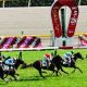 ドゥラメンテ、モーリスがいきなりトップ! 「繁養種牡馬種付け頭数一覧」から見える競馬の未来