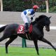 JRA「新人」に大器の片鱗!? 「親孝行」誓う若駒「神騎乗」と「師匠の馬で勝利」を狙う