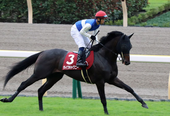 【新潟記念(G3)展望】JRA「飛躍狙う」レイエンダら強豪集結! 夏の新潟で大一番の画像6