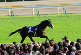 JRA戸崎圭太放馬に「罵声と同情」藤田伸二氏、アンカツ氏擁護、ダンビュライトの「危険度」上昇中