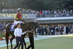 JRA「孤独なパドック」ダンビュライトは最初からヤバかった……戸崎圭太騎手にはとにかく同情