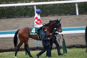 JRA「本領」ディープ産駒高額牡馬続々勝利。今年も「終わってみれば」はある？