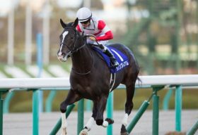 弥生賞（G2）ダノンプレミアムに「三冠馬ナリタブライアン」級の期待。異次元の強さを誇る2歳王者にとって今回が「皐月賞よりも危険」な理由