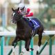 【オーシャンS(G3)展望】春のスプリント王決定戦へ向けての大一番!? 中心馬不在の混戦模様の激戦を制するのは?