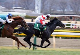 共同通信杯（G3）武豊「クラシック制覇」黄色信号にショック!? 大本命アドマイヤマーズ敗れるも、その4馬身後方で……