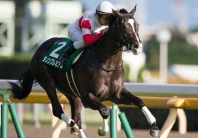 【弥生賞（G2）展望】「王者」ダノンプレミアムVS「大器」ワグネリアンが早くも実現！オブセッション、ジャンダルムら「史上最強の前哨戦」開幕！