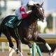 【オーシャンS(G3)展望】春のスプリント王決定戦へ向けての大一番!? 中心馬不在の混戦模様の激戦を制するのは?