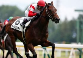 【徹底考察】マイラーズC（G2） ダノンリバティ＆テイエムイナズマ「好調2頭は大本命フィエロの脅威になり得るのか」