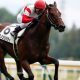 岩田康誠騎手が「ブエナビスタ級」と絶賛の素質馬参戦で話題のフローラS(G2)。頂上決戦オークスへ向かうのはどの馬か!