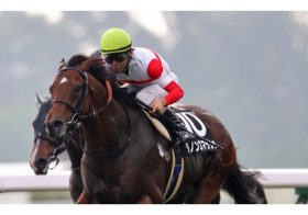 【スプリンターズS（G1）展望】秋のG1戦線開幕！「重賞3勝」ダノンスマッシュVS「夏王者」タワーオブロンドンなど見所満載!!