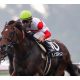 JRA・C.ルメール「強奪」タワーオブロンドンで負けられない!? スプリンターズS「勝つ自信あります」の“裏”によぎる昨秋「大失速」の記憶……